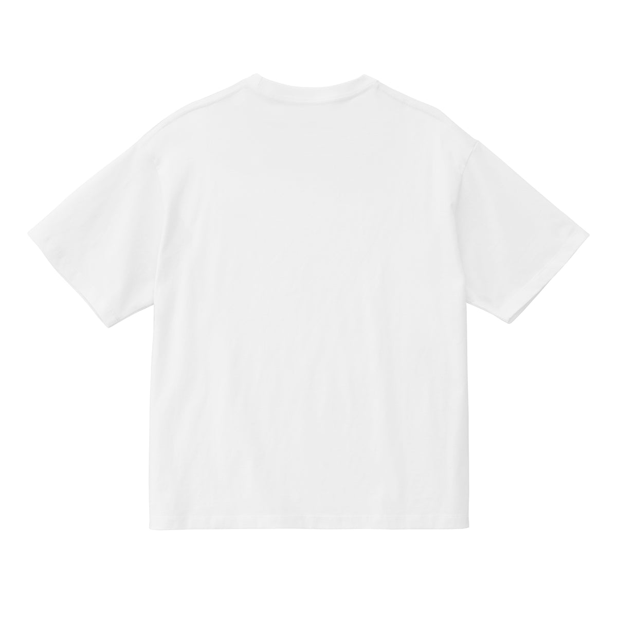 THE MOON AND BACK TEE / WHITE